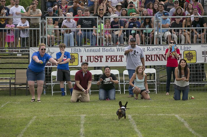 Buda Wiener Dog Race, 4.26.15