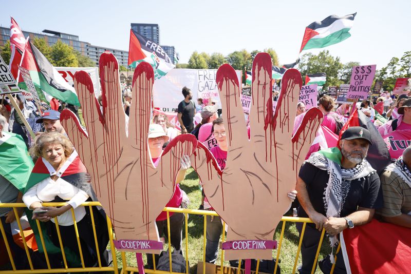 Hundreds of protesters gather in Union Park during the first day of the Democratic National Convention in Chicago.