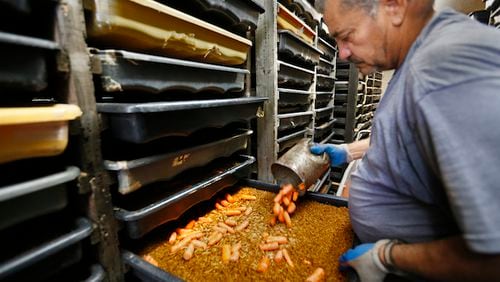 Arturo Rodriguez feeds carrots to "Golden Giants" mealworms being grown as food for humans at Rainbow Mealworms on Sept. 1, 2015 in Compton, Calif. (Don Bartletti/Los Angeles Times/TNS)