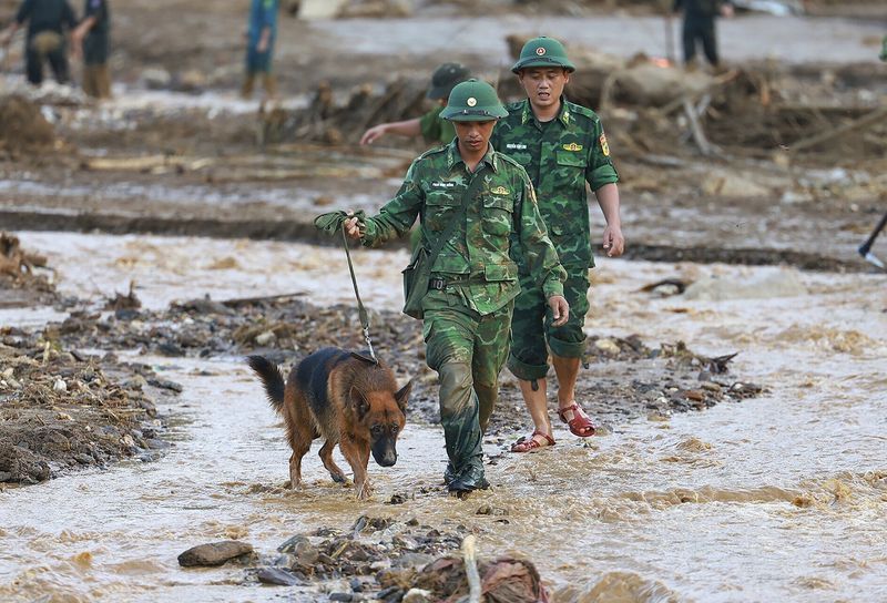 Rescue workers and a sniff dog search for the missing after a flash flood buries a hamlet in mud and debris in the aftermath of Typhoon Yagi in Lao Cai province, Vietnam Thursday, Sept. 12, 2024 (Duong Van Giang/VNA via AP)