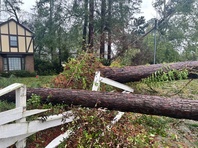 Downed trees in Augusta, GA following Hurricane Helene on September 27, 2024. (Photo Courtesy of Charmain Brackett)