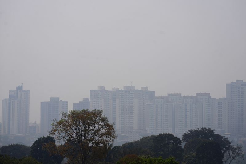 Smoke from fires in the Amazon covers the Guara neighborhood of Brasilia, Brazil, Sunday, Aug. 25, 2024. (AP Photo/Eraldo Peres)