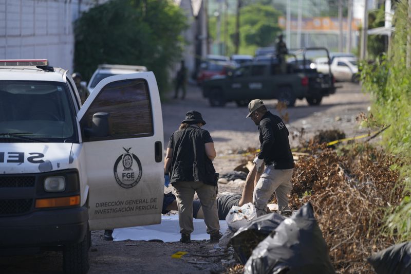 Forensic investigators remove a body from the street in La Costerita, Culiacan, Sinaloa state, Mexico, Thursday, Sept. 19, 2024. (AP Photo/Eduardo Verdugo)