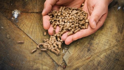 Biomass is any organic material, such as wood, that is burned for fuel. Georgia is a major producer and exporter of biomass wood pellets made from Georgia trees that are largely burned overseas. (Associated Press 2020)