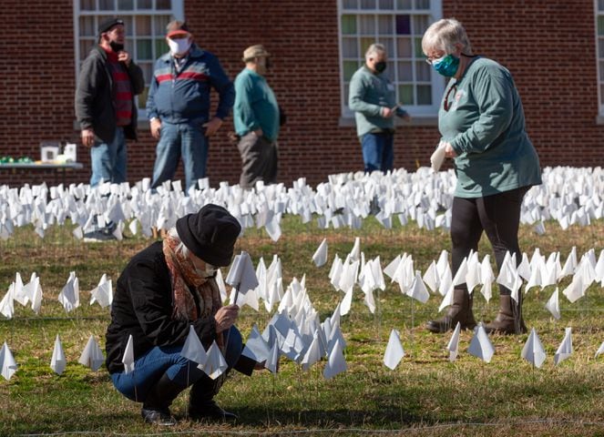 Decatur volunteers planting 15,000 (or 16,000)