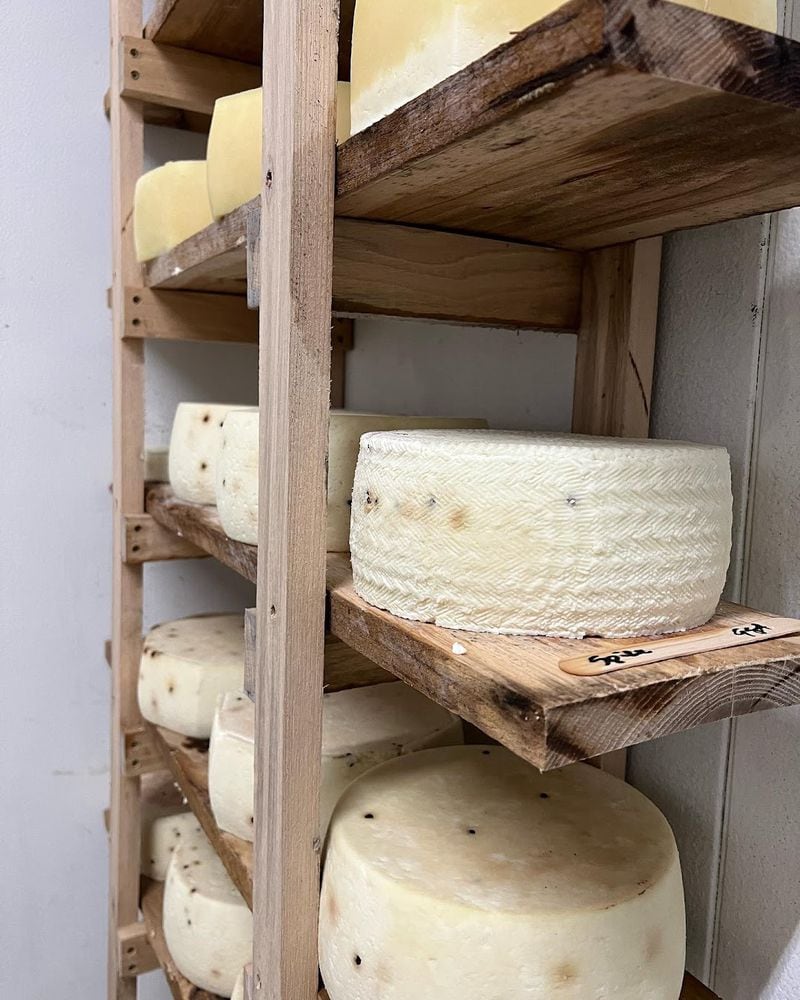 Rosemary and Thyme Creamery produces five varieties of cheese that is aged for varying lengths of time. (Courtesy of Hannah Walker)