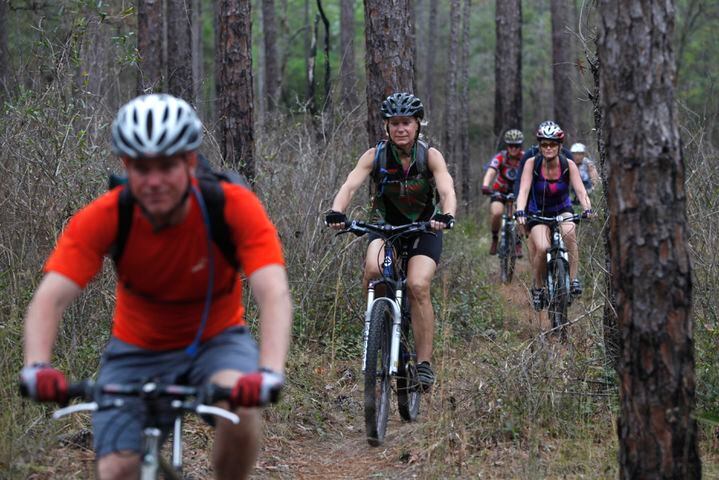 Croom Bike Trail in Hernando County Florida Visit Florida