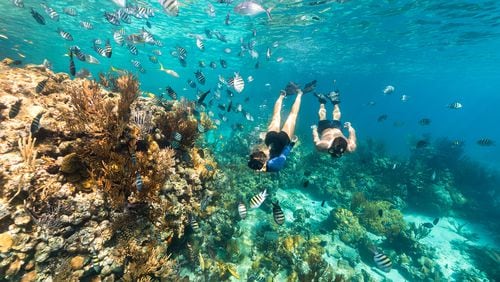 Inagua, a small island on the southern edge of the Bahamas noted for its conservation efforts, is a scuba and snorkeling destination.
(Courtesy of Bahamas Ministry of Tourism)