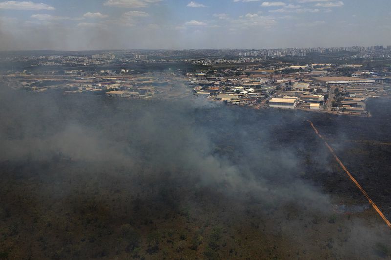 Smoke rises from a fire in the environmentally protected area of Brasilia National Park during the dry season in Brasilia, Brazil, Monday, Sept. 16, 2024. The head of the agency that manages protected areas, Mauro Pires, told the local press that the fire was man-made and appears to have started near the edge of a farm. (AP Photo/Eraldo Peres)