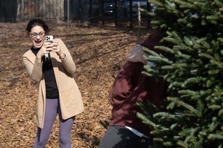 Christmas Tree Outlook