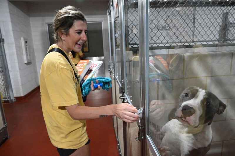 Camille Lillie (left) smiles as she checks shelter dogs at Cobb County Animal Services, Saturday, May 20, 2023, in Marietta. (Hyosub Shin / Hyosub.Shin@ajc.com)