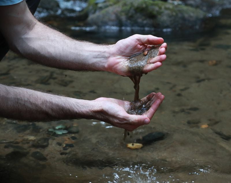 Jess Riddle, executive director of Georgia ForestWatch, checks the sediment quality of Tuckaluge Creek, in Rabun County. A nearby spur road was almost lengthened to accommodate timber trucks before public opinion changed the Forest Service’s plans. CURTIS COMPTON / CCOMPTON@AJC.COM