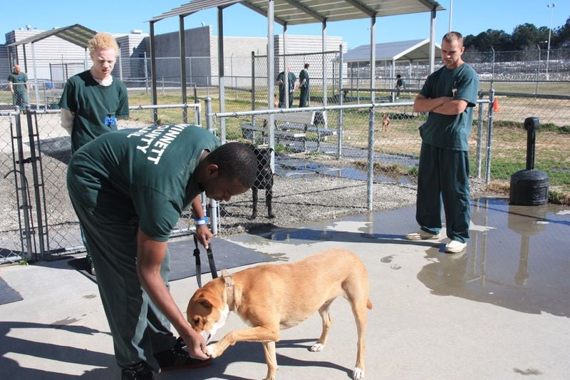 Inmates participating in the Jail Dogs program training one of the dogs available for adoption. Photo by Karen Huppertz for the AJC