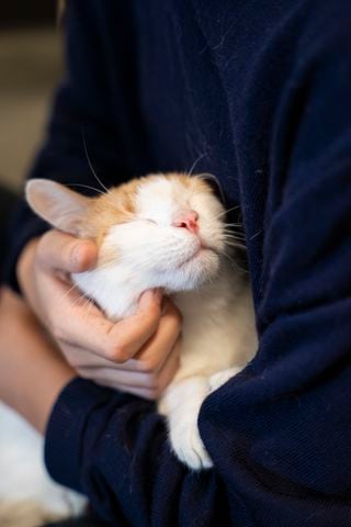 New Fulton County Animal Shelter Opens 