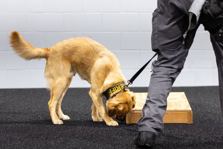 Cobb County unveils K9 trained to detect electronic devices
