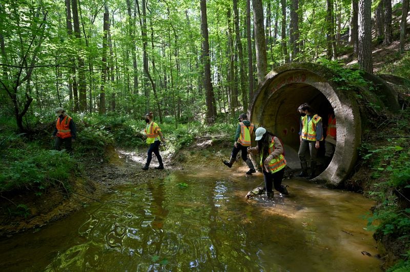 Trainees come out of a culvert after searching for tricolored bats near Cartersville on Thursday, May 3, 2023. (Hyosub Shin / Hyosub.Shin@ajc.com)