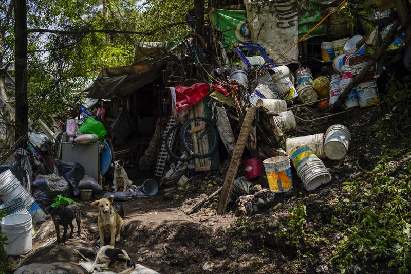 Dogs sit next to a damaged house where various people died after a rain-induced landslide, in Naucalpan, Mexico, Tuesday, Sept. 17, 2024. (AP Photo/Felix Marquez)