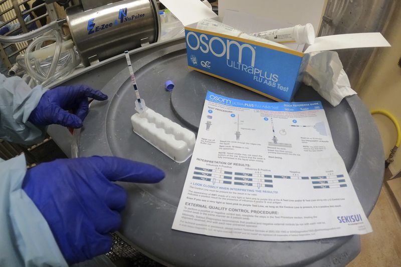 In this photo provided by the U.S. Department of Agriculture, a researcher performs a rapid antigen test on milk from a dairy cow inoculated against bird flu in a containment building at the National Animal Disease Center research facility in Ames, Iowa, on Monday, July 29, 2024. (USDA Agricultural Research Service via AP)