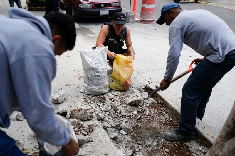 Members of The Tree Army, a group that works to improve the urban forest, collect pieces of concrete after breaking it up from the top of tree roots in Mexico City, Monday, Aug. 26, 2024. (AP Photo/Eduardo Verdugo)