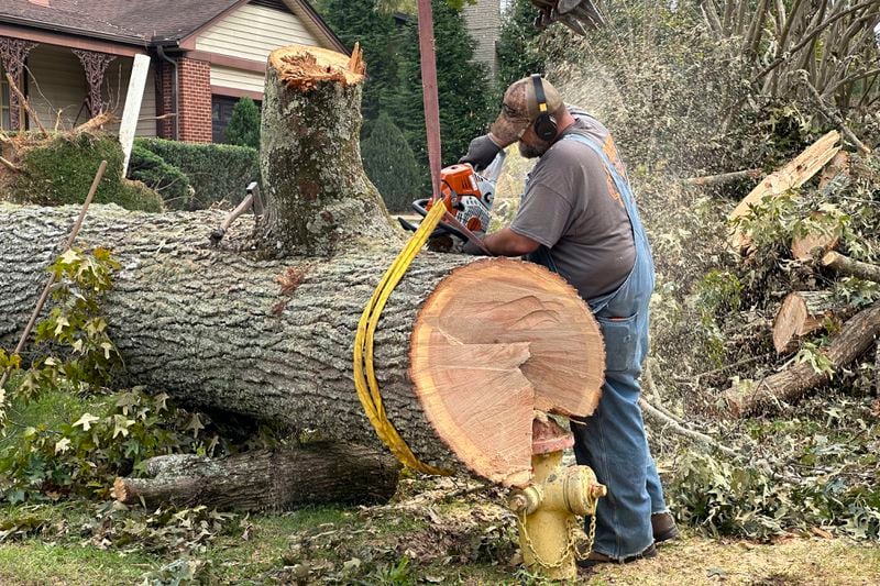 A worker cuts up a tree that impaled itself on a fire hydrant during Hurricane Helene, Friday, Oct. 4, 2024, in the Oak Forest neighborhood of Asheville, N.C. (AP Photo/Jeff Amy)