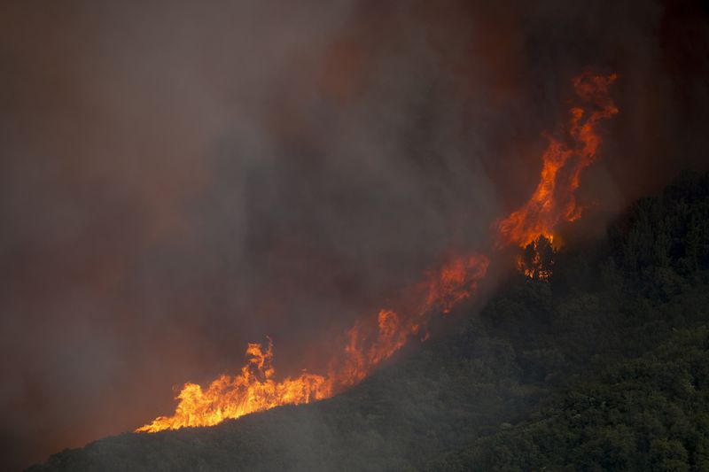 The Line Fire makes a run along a ridge Saturday, Sept. 7, 2024, near Running Springs, Calif. (AP Photo/Eric Thayer)