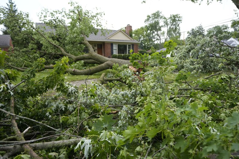 Tree limbs and branches remain on a yard, Friday, June 21, 2024 in Beverly Hills, Mich., after straight-line winds ripped through tree-lined neighborhoods in portions of Oakland County late Wednesday, leaving residents without power and trees uprooted and tossed across entire streets. (AP Photo/Carlos Osorio)