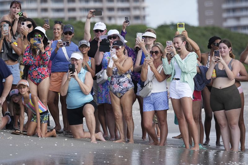 A crowd of onlookers watch as Willow, a subadult loggerhead sea turtle, makes her way past the crowd, back into the ocean after being treated at the Loggerhead Marinelife Center, Wednesday, Aug. 21, 2024, in Juno Beach, Fla. (AP Photo/Wilfredo Lee)