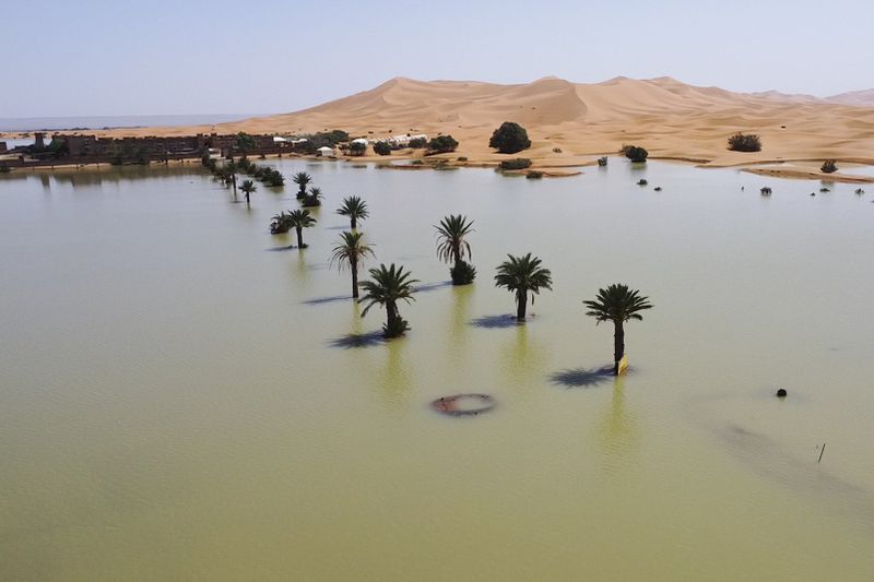 Palm trees are flooded in a lake caused by heavy rainfall in the desert town of Merzouga, near Rachidia, southeastern Morocco, Wednesday, Oct. 2, 2024. (AP Photo)