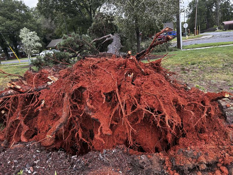 A downed tree is seen on Tuckaseegee Rd after Hurricane Helen passed the area Friday, Sept. 27, 2024 in Charlotte, N.C. (Diamond Vances/The Charlotte Observer via AP)