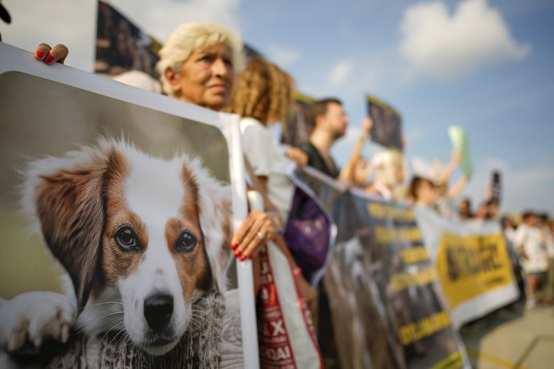 People shout slogans during a protest against a bill approved by Turkish legislators that aims to remove stray dogs off the country's streets, in Istanbul, Turkey, Sunday, Sept. 1, 2024. (AP Photo/Emrah Gurel)