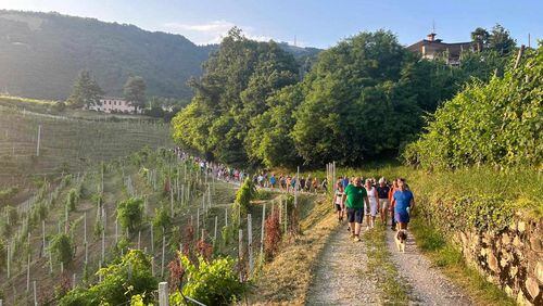 Valdobbiadene mayor Luciano Fregonese started weekly walks. 
Provided by the office of the mayor, Valdobbiadene, Italy