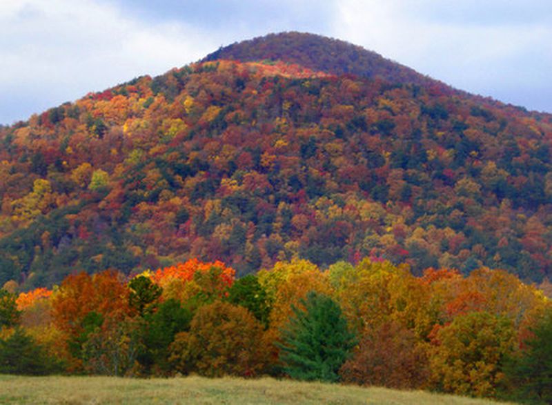 FOR STARTERS, fall foliage is but one tank of gas away from downtown Atlanta.