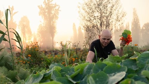 Eduardo "Lalo" García, known as Eddie in Atlanta, harvests fennel and nasturtiums in the Xochimilco section of Mexico City at an organic farm. Photos by Mallika Vora