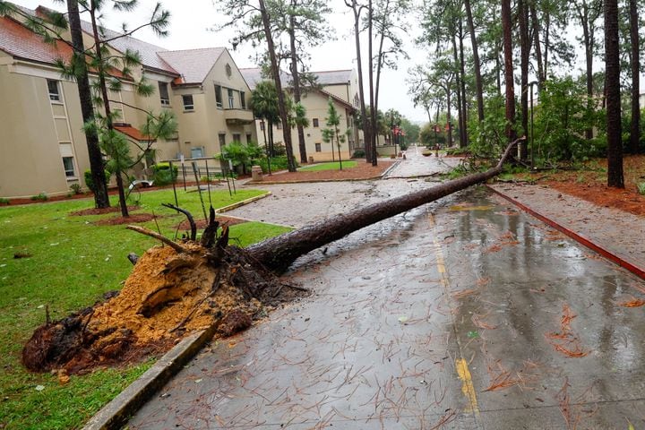 A fallen pine tree is blocking one of the entrances of Valdosta State University, showing the aftermath of Tropical Storm Debby’s path through south Georgia on Monday, August 5, 2024.
(Miguel Martinez / AJC)