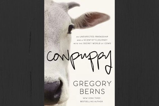 "Cowpuppy" by Gregory Berns. (Courtesy of Harper Horizon)