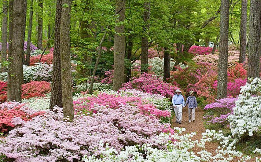 are dogs allowed in uga botanical gardens