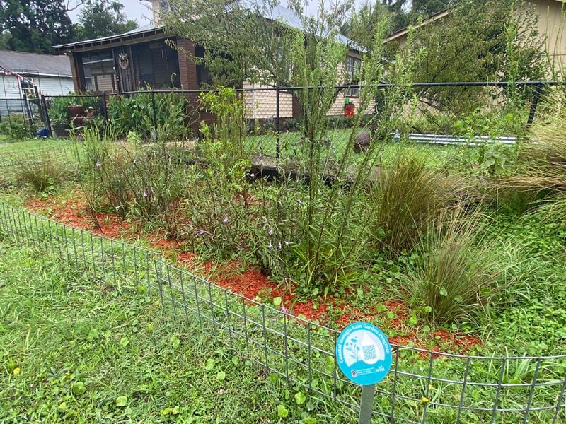 A "rain garden" outside Semona Holmes' home in Brunswick, Georgia helped absorb rain from Debby this week.