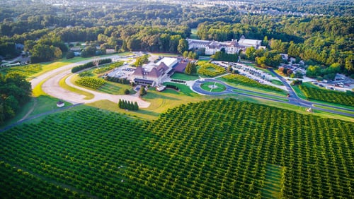 Facts about Chateau Elan Winery & Resort