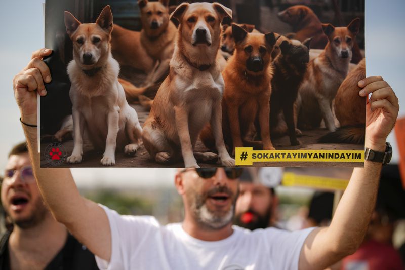 People shout slogans during a protest against a bill approved by Turkish legislators that aims to remove stray dogs off the country's streets, in Istanbul, Turkey, Sunday, Sept. 1, 2024. (AP Photo/Emrah Gurel)