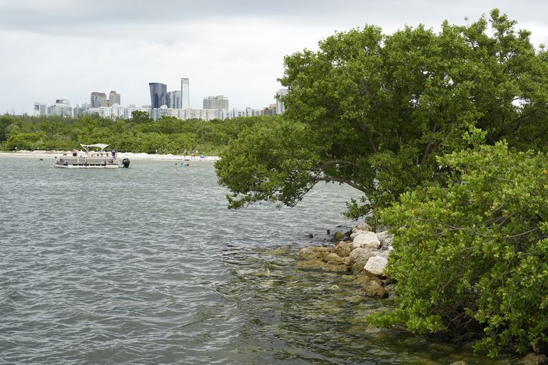 A boat docks near the beach at Oleta River State Park, Thursday, Aug. 22, 2024, in North Miami Beach, Fla. (AP Photo/Marta Lavandier)