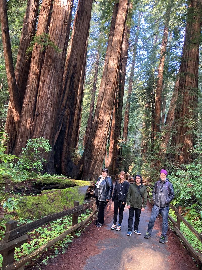 Athens-based band Pylon Reenactment Society, photographed at Muir Woods National Monument Park in January while on a West Coast tour. From left: Vanessa Briscoe Hay, Kay Stanton, Jason NeSmith and Gregory Sanders. (Courtesy of Hana Hay)
