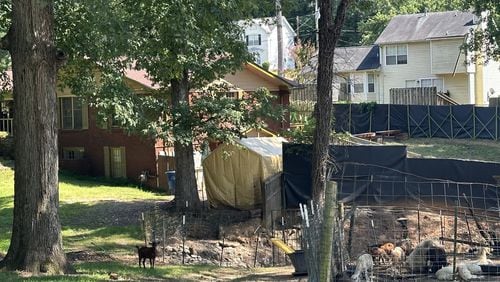 A goat roams free in a southwest Atlanta neighborhood where some residents want the city to take action on a property that has been advertised as a cultural event space.