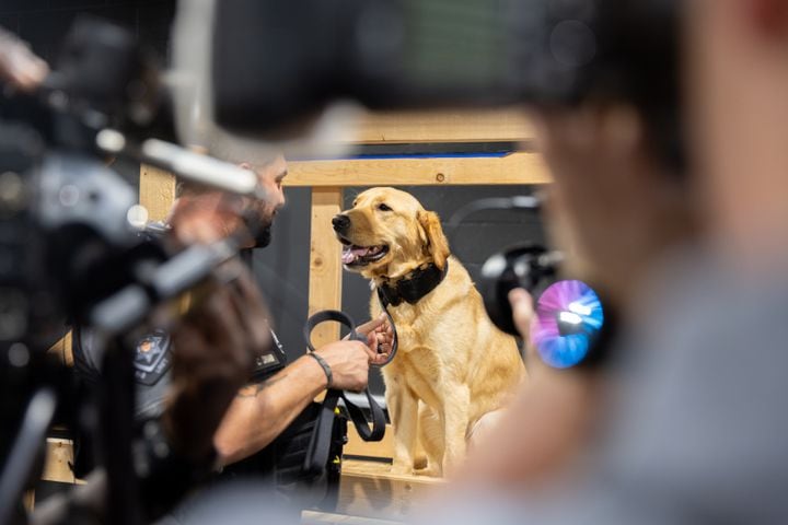 Cobb County unveils K9 trained to detect electronic devices
