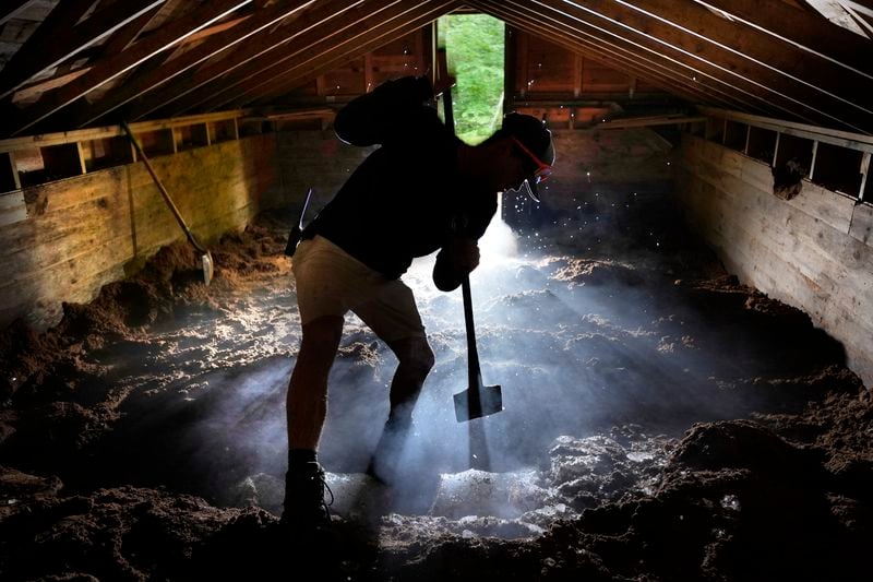 Nate Lord chops out a block of ice at Rockywold Deephaven Camps, Thursday, June 20, 2024, in Holderness, N.H. Ice harvested from Squam Lake during the winter is insulated with sawdust in an ice house. It is used for refrigeration in ice boxes at each guest cabin throughout the summer. (AP Photo/Robert F. Bukaty)