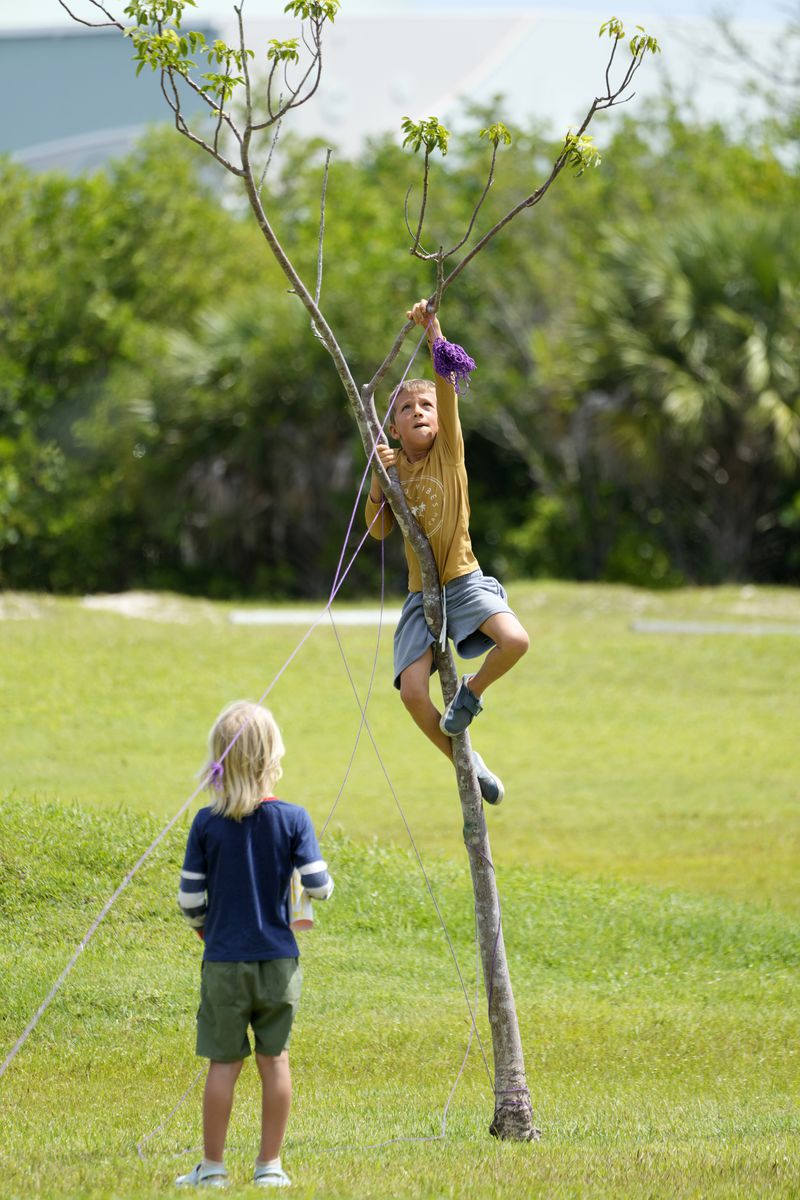 Henry Cedroni, center, 6, climbs a tree as Dylan Wickham, left, 6, looks on as they help put up yarn as demonstrators outline the area a pickleball court would occupy, during a protest against Gov. Ron DeSantis' plan to develop state parks with business ventures such as golf courses, pickleball courts and large hotels, during a demonstration at Oleta River State Park, Tuesday, Aug. 27, 2024, in North Miami Beach, Fla. (AP Photo/Wilfredo Lee)