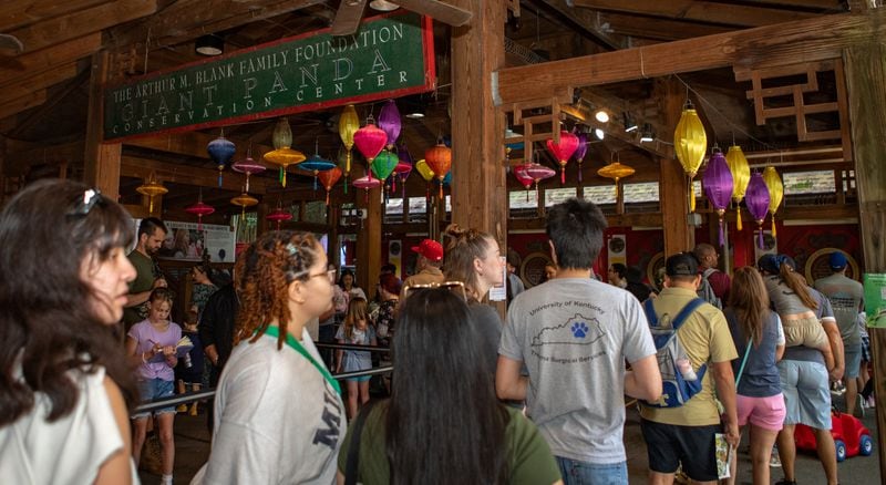 Hundreds wait in line at Zoo Atlanta for the Farewell Visit with the giant pandas Saturday, Oct 5, 2024.  Atlanta’s four pandas, Lun Lun, Yang Yang and their twins Ya Lun and Xi Lun, are going back to China after decades in Atlanta.  (Jenni Girtman for The Atlanta Journal-Constitution)