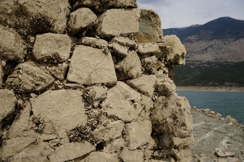 The shells of small freshwater mussels lie on the wall of a building in the sunken Kallio village that's resurfaced from the artificial Mornos Lake, some 200 kilometers (125 miles) northwest from Athens, central Greece, on Thursday, Sept. 5, 2024. (AP Photo/Thanassis Stavrakis)