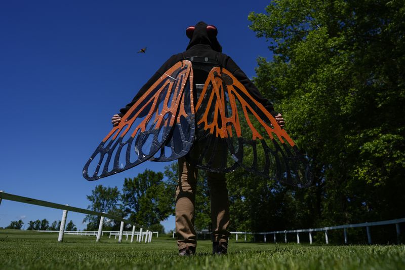 A periodical cicada flies past Jennifer Rydzewski, insect ecologist for the DuPage Forest Preserve, as she displays a cicada costume used to reenact the cicada life cycle for visitors at the DuPage County Forest Preserve District Headquarters, Wednesday, June 5, 2024, in Wheaton, Ill. (AP Photo/Carolyn Kaster)