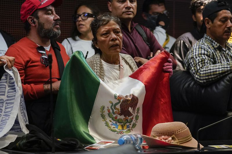 A protestor holds a Mexican flag after demonstrators broke into a Senate session in which lawmakers were debating the government's proposed judicial reform, which would make judges stand for election, in Mexico City, Tuesday, Sept. 10, 2024. (AP Photo/Felix Marquez)