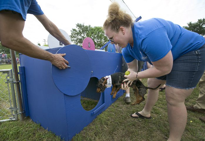 Buda Wiener Dog Race, 4.26.15